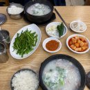 수라국밥 | [부산대 국밥 맛집] 부산대 원티어 국밥 맛집 / 수라국밥 내돈내산 후기