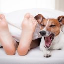 김천연합동물병원 이미지