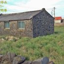 신도리-6 이미지