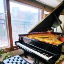 기쁨피아노 | 독일유학파쌤 1:1 전문 피아노 개인레슨 받은 후기 | 철산동피아노 하안동피아노 소하동피아노 광명피아노