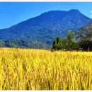 시골풍경 이미지