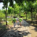 공작산생태숲 이미지