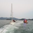 통영요트 뉴시스