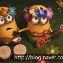 시네마1번가 이미지