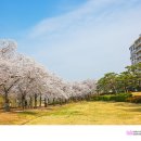 보문관광단지 이미지