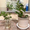 조형관 화장실 이미지