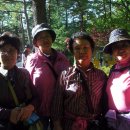 인준목장 이미지