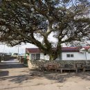 고내마을 이미지