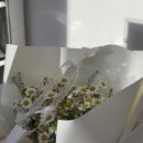 노티농장 이미지