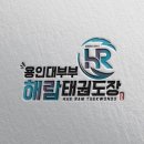 용인대부부해람태권도장
