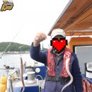 여수바다장어 이미지