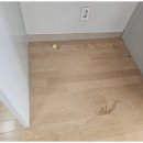 여기클린 이미지