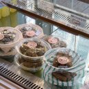 지연이네 강아지 고양이 수제간식 | 인천 숭의동 강아지 수제간식 • 멍이네 이야기