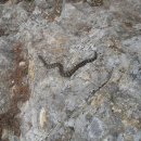 신포중학교 이미지