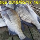 해성펜션 이미지