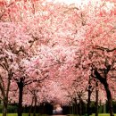 스타프라자 앞 이미지