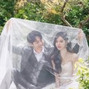 바이그리너리