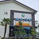 소나무정 | 남해 아난티 근처맛집 소나무정 멸치쌈밥 내돈내산 후기
