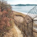 염하강철책길 이미지