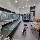 이쁘개 건강하개 이미지