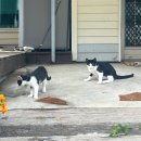 WR(서울특별시 광진구)-[자양번영로]-하-2 | 산중호걸이라 하는 변씨님의 생일날이 되어 ♪