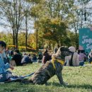 제22회 자라섬 재즈페스티벌 이미지