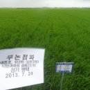 농촌진흥청 국립식량과학원 이미지