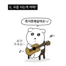 재송동물병원 | 단짠단짠 4월 일상