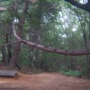 안골공원 이미지