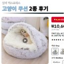 치와와 둥지 | 알리 익스프레스 겨울용 고양이 길냥이 강아지 쿠션 침대 2종 후기