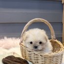 품안에위생관리