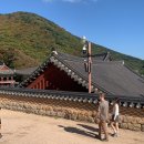 재송2동-50 | 부처님오신날 부산 사찰 가볼만한 곳 삼광사 범어사 해동용궁사 총정리