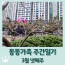 넥서스트레이더스 | 동동가족 주간일기 3월 넷째주 / Er ist's(봄이다)