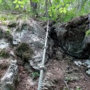 용산초교 이미지