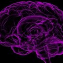 인지마트 이미지