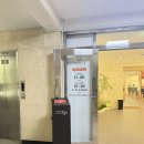 신신갤러리경매장 | 쿠마스시 용산점, 딸이 그린 캐릭터가 반겨준 하루