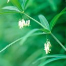 피브로한의원 이미지