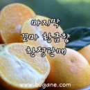 환영2농장 이미지