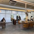 다옴헤어살롱 이미지