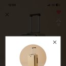 낙동강장어 이미지