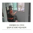 숲향 | 아기 있는 집 필수 안산방역 수원방역 싹잡아방역업체 해충방역 후기