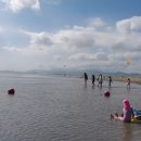 다대포해수욕장 이미지