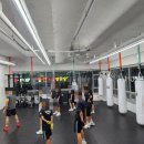 크로스복싱 이미지