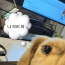 피트니스209 이미지