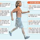 걷기의 운동 효과 &올바른 걷기 자세 이미지