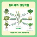 정환농장 이미지