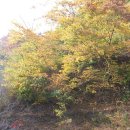 희경 - 3006 | 희경