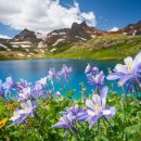 꼭 알아야 할 노년 건강 비밀 5가지 (영상글 첨부) 이미지