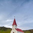 꽃다지 앞 이미지