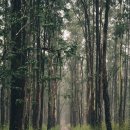 연극 염쟁이 유씨 이미지